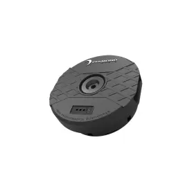DPST12 DIAMOND AUDIO Amplified Spare Tire Subwoofer