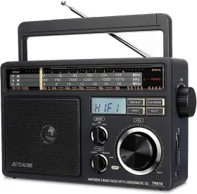 TR618 RETEKESS Am Fm Radio Plug Wall Shortwave